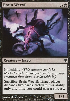Brain Weevil