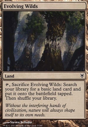 Evolving Wilds