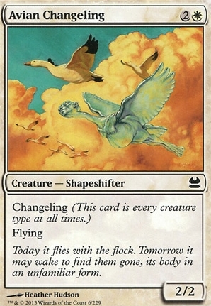 Avian Changeling