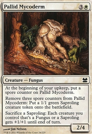 Pallid Mycoderm
