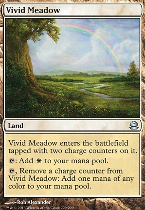 Vivid Meadow