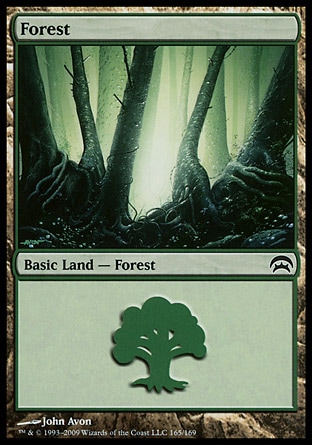 Forest