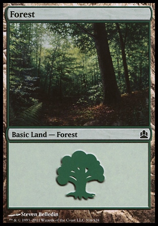 Forest