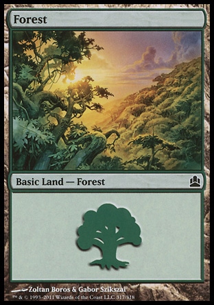 Forest