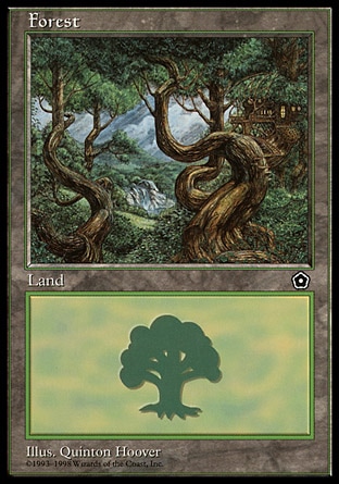 Forest