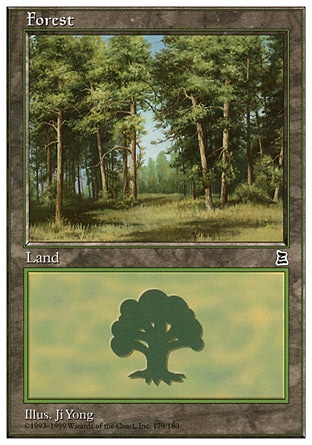 Forest