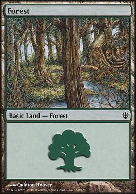 Forest