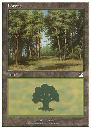 Forest