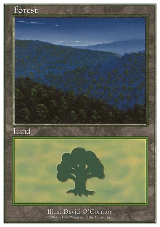 Forest