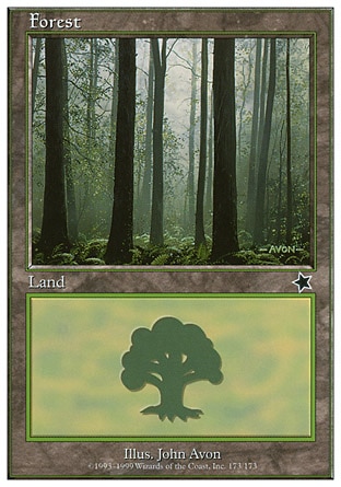 Forest
