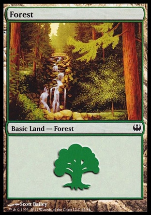 Forest