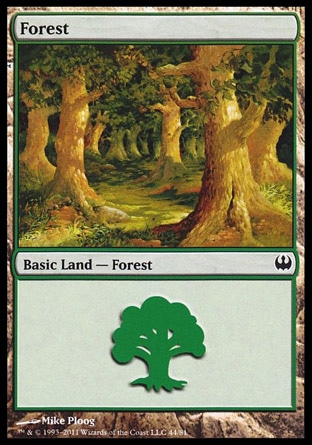 Forest