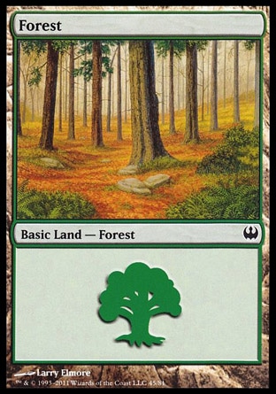 Forest
