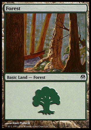 Forest