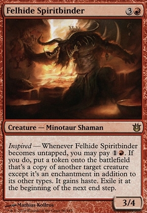 Felhide Spiritbinder