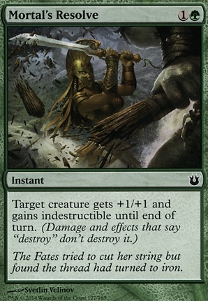 Mortal's Resolve