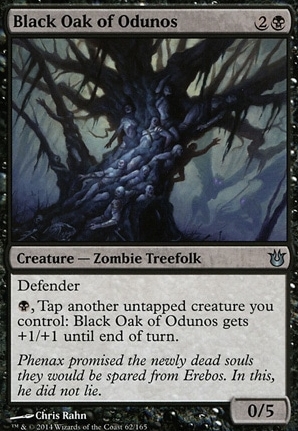 Black Oak of Odunos