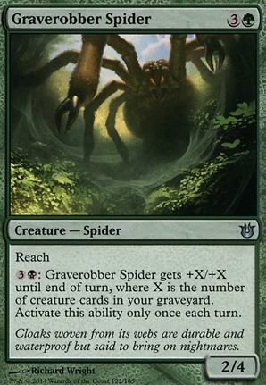 Graverobber Spider