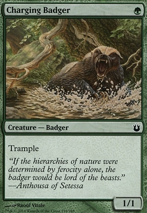 Charging Badger