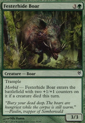 Festerhide Boar