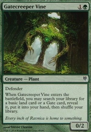 Gatecreeper Vine