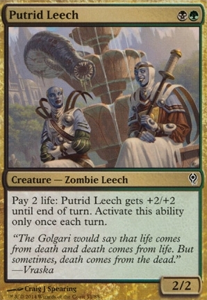 Putrid Leech