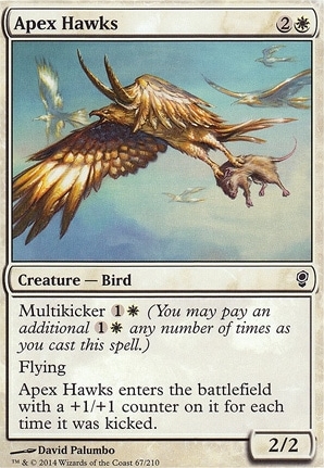 Apex Hawks