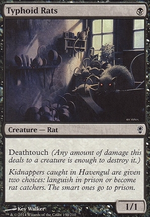 Typhoid Rats