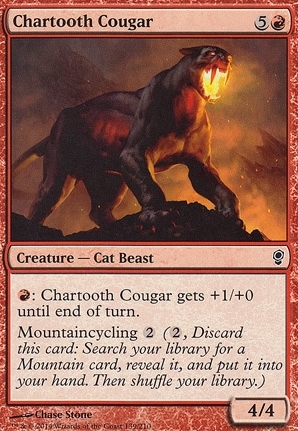 Chartooth Cougar