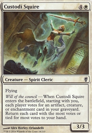 Custodi Squire