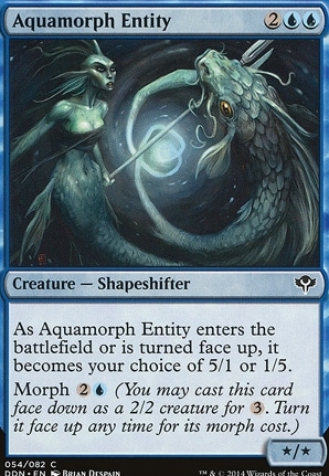 Aquamorph Entity