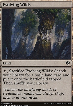 Evolving Wilds