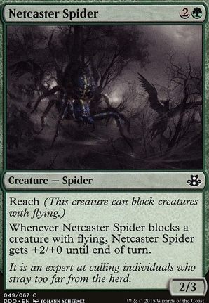 Netcaster Spider