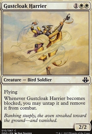 Gustcloak Harrier