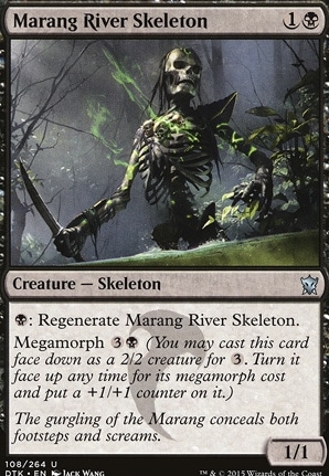 Marang River Skeleton