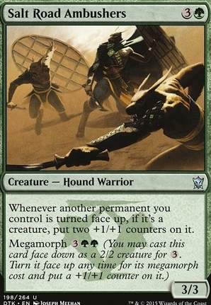 Salt Road Ambushers