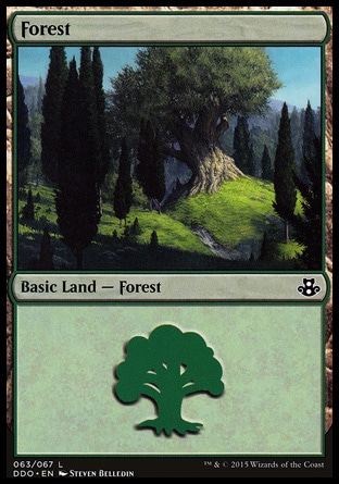 Forest