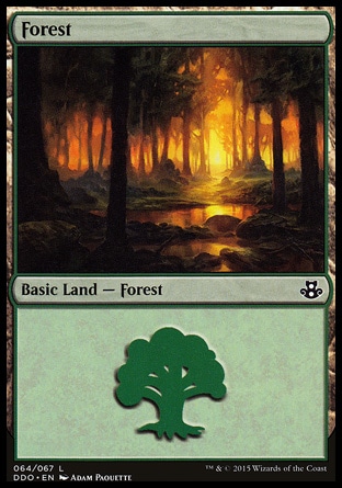 Forest