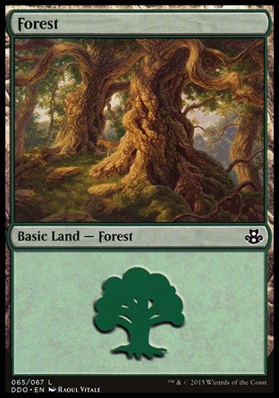 Forest