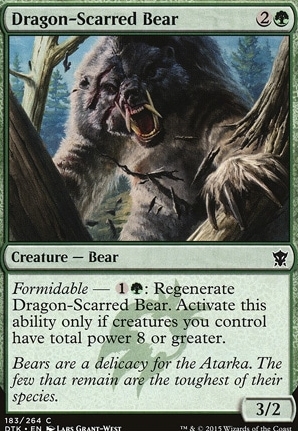 Dragon-Scarred Bear