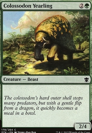Colossodon Yearling