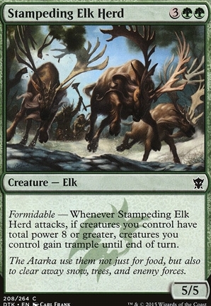 Stampeding Elk Herd