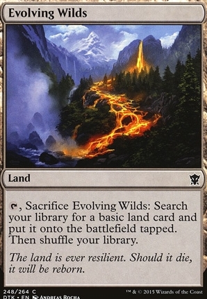 Evolving Wilds