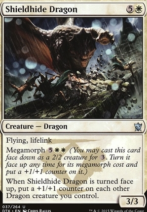 Shieldhide Dragon