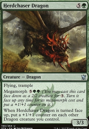 Herdchaser Dragon