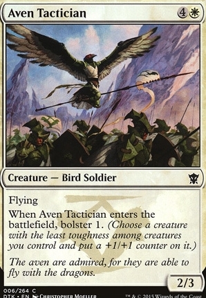 Aven Tactician
