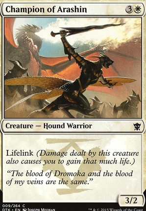 Champion of Arashin