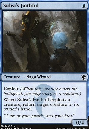 Sidisi's Faithful