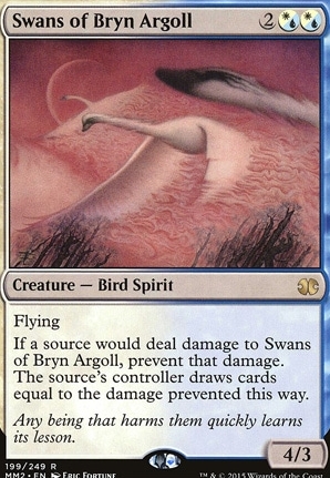 Swans of Bryn Argoll