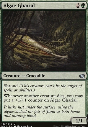 Algae Gharial